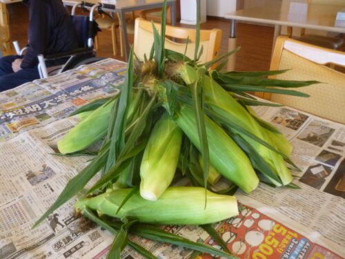 とうきび🌽